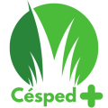 cropped-Cesped-4.png
